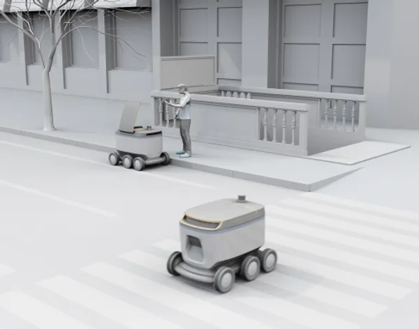 Big and Bulky Last-Mile Delivery: Predictions for a Bright Future. But ...